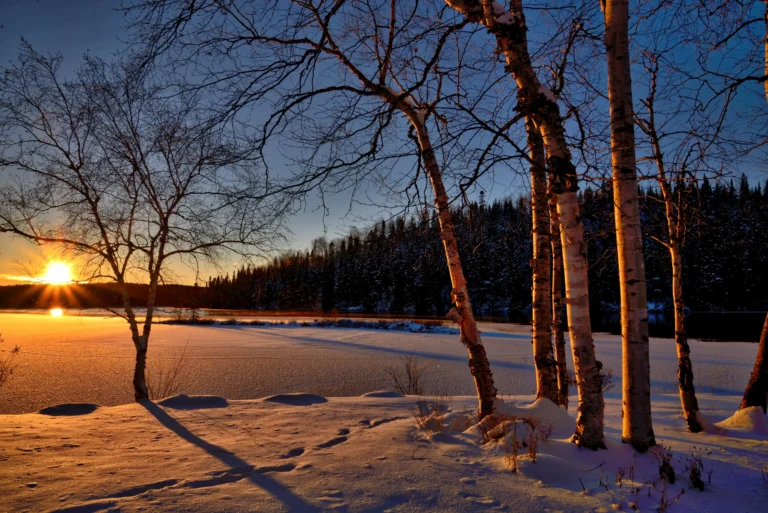 The Winter Solstice: Understanding the Shortest Day of the Year